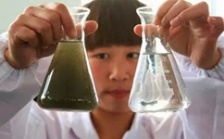  在沒有家用水質(zhì)檢測(cè)儀的情況下如何判斷凈水器水質(zhì)狀況