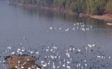  生態(tài)環(huán)境部召開2018年上半年水環(huán)境質(zhì)量達(dá)標(biāo)滯后地區(qū)工作調(diào)度會(huì)