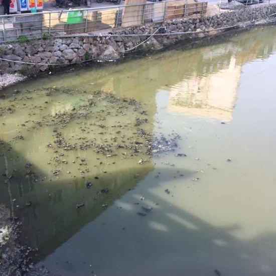  秋冬交替，污泥又到了換季膨脹的季節(jié)