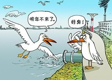  國家飲用水標(biāo)準(zhǔn)及水質(zhì)合格率是多少？