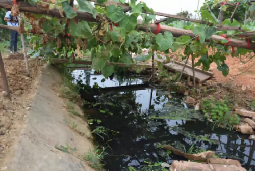 長沙市后湖：徹底消除黑臭，實(shí)現(xiàn)&ldquo;長治久清&rdquo;